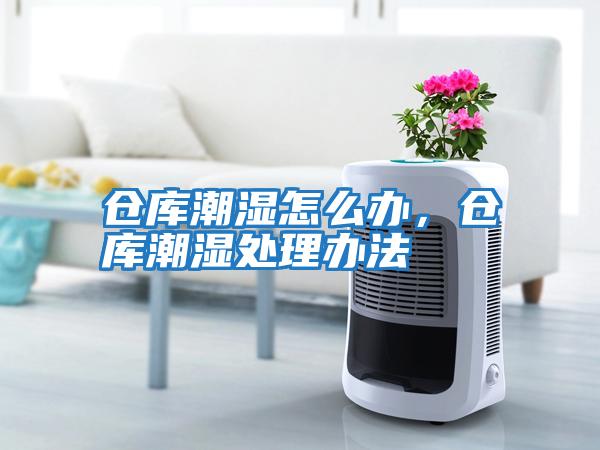 倉庫潮濕怎么辦，倉庫潮濕處理辦法