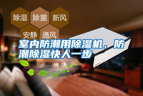室內防潮用除濕機，防潮除濕快人一步