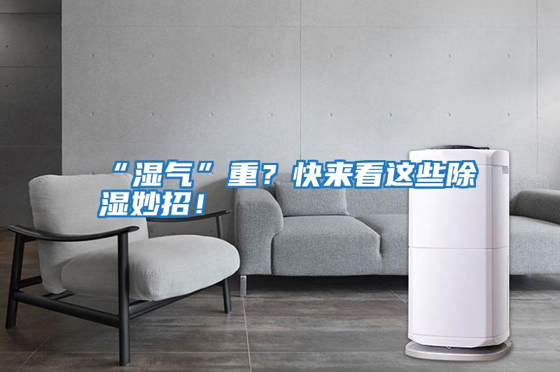 “濕氣”重？快來(lái)看這些除濕妙招！