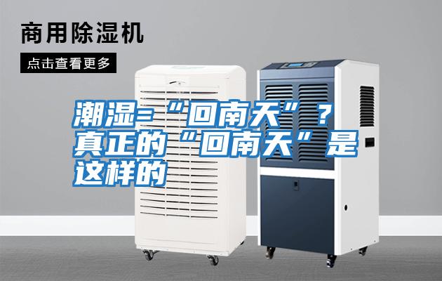 潮濕=“回南天”？ 真正的“回南天”是這樣的