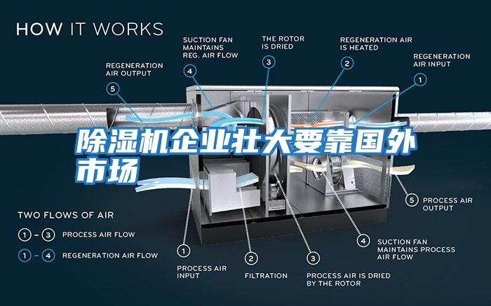 除濕機企業(yè)壯大要靠國外市場(chǎng)