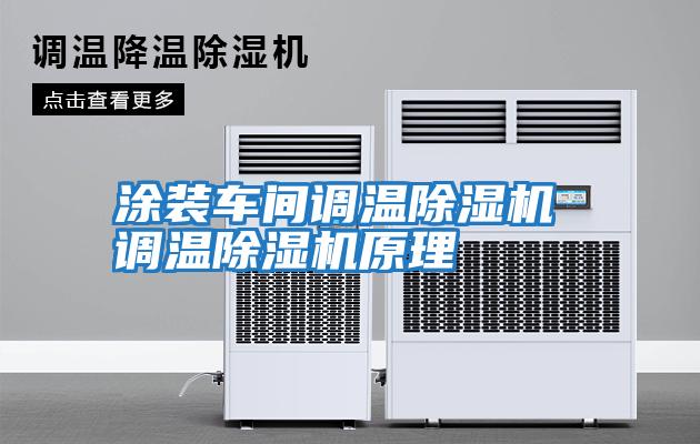 涂裝車(chē)間調溫除濕機 調溫除濕機原理
