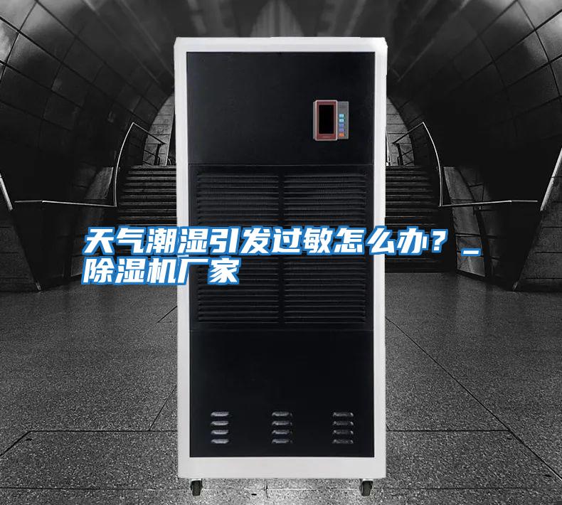 天氣潮濕引發(fā)過(guò)敏怎么辦?_除濕機廠(chǎng)家