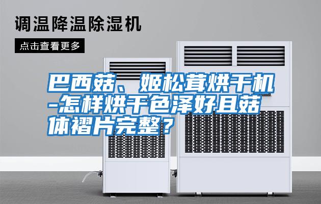 巴西菇、姬松茸烘干機-怎樣烘干色澤好且菇體褶片完整？
