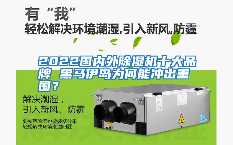 2022國內外除濕機十大品牌 黑馬伊島為何能沖出重圍？