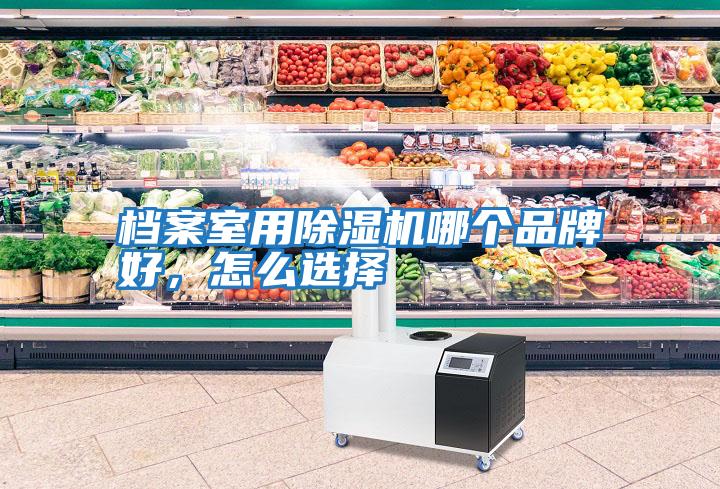 檔案室用除濕機哪個(gè)品牌好，怎么選擇