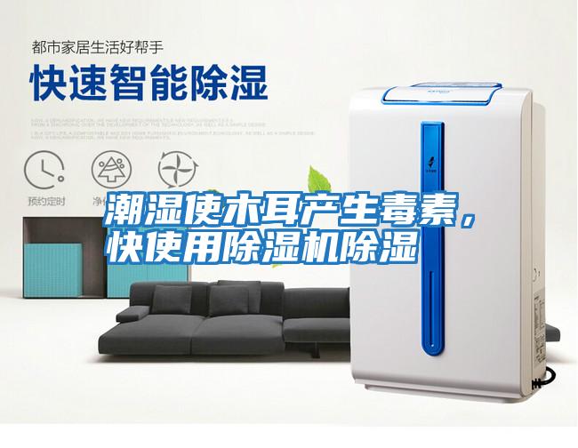潮濕使木耳產(chǎn)生毒素，快使用除濕機除濕
