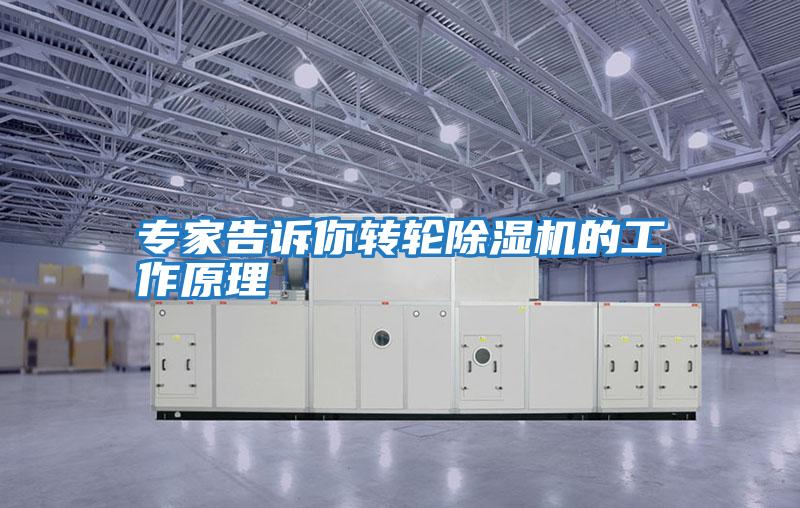 專(zhuān)家告訴你轉輪除濕機的工作原理