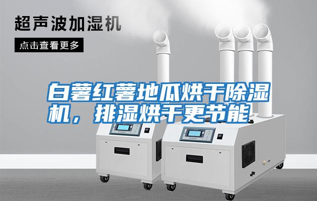 白薯紅薯地瓜烘干除濕機，排濕烘干更節能