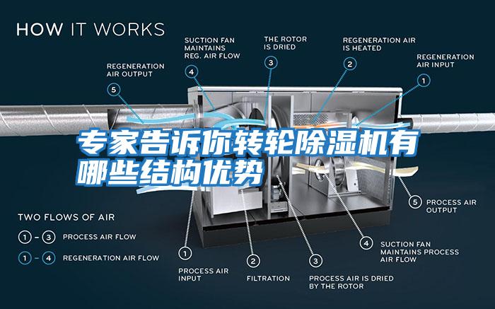 專(zhuān)家告訴你轉輪除濕機有哪些結構優(yōu)勢
