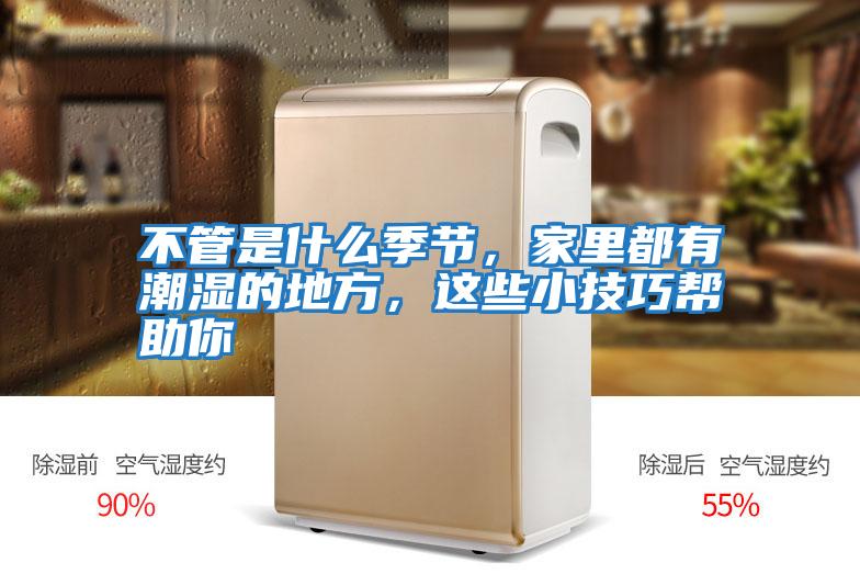 不管是什么季節，家里都有潮濕的地方，這些小技巧幫助你