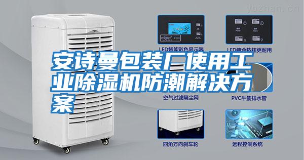 安詩(shī)曼包裝廠(chǎng)使用工業(yè)除濕機防潮解決方案