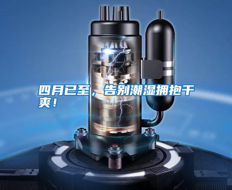 四月已至，告別潮濕擁抱干爽！