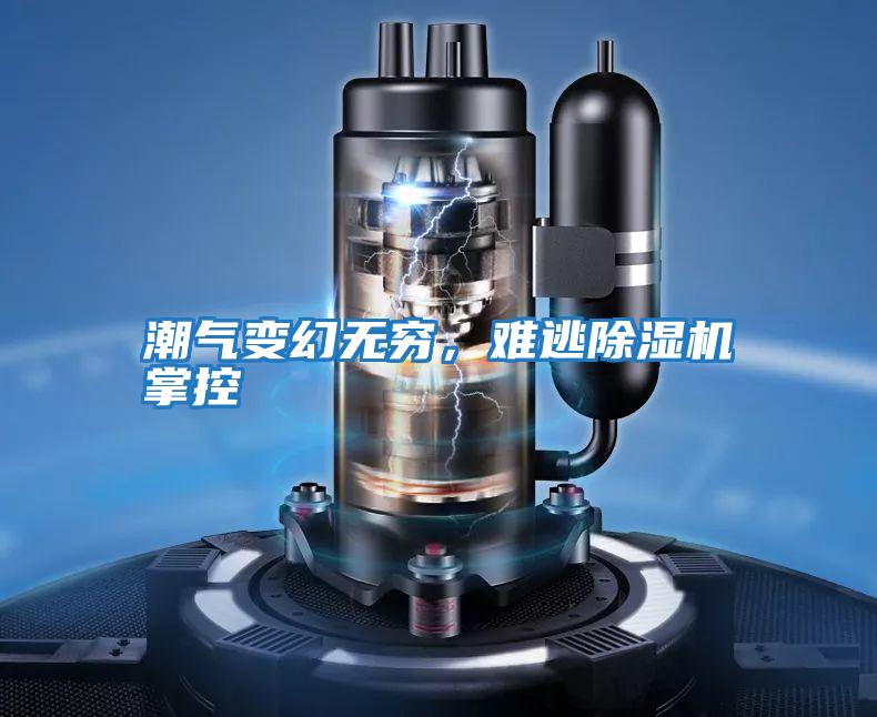 潮氣變幻無(wú)窮，難逃除濕機掌控