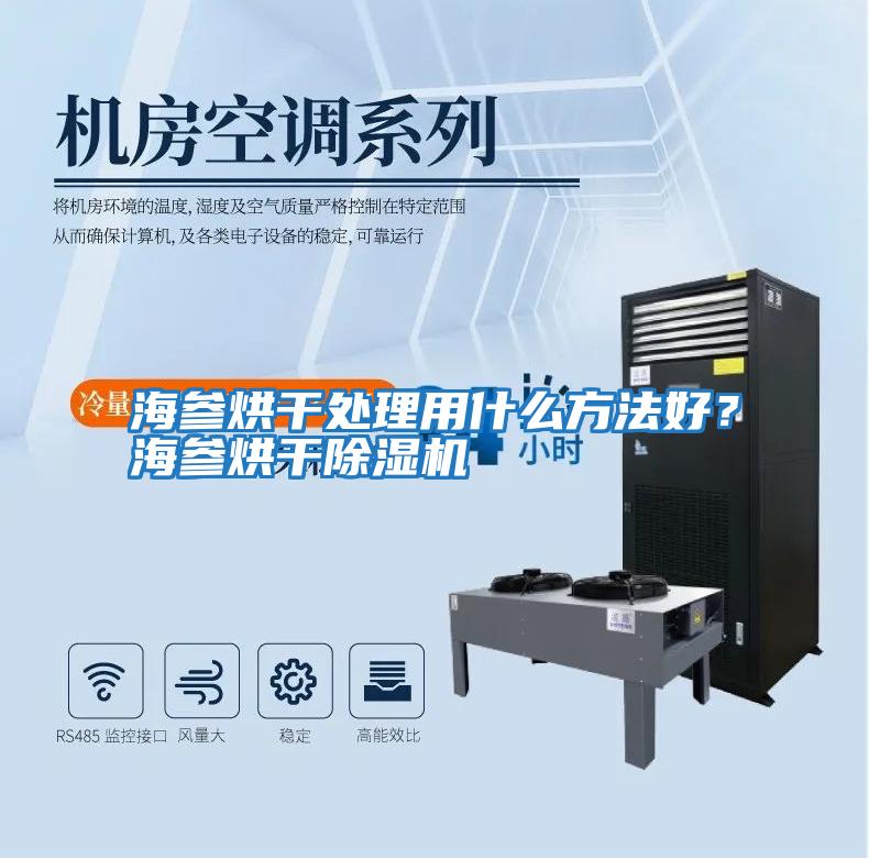 海參烘干處理用什么方法好？海參烘干除濕機