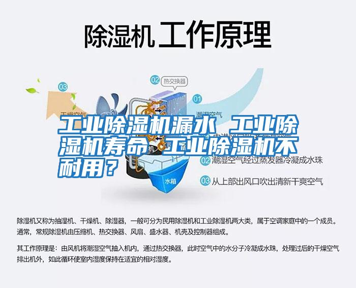 工業(yè)除濕機漏水 工業(yè)除濕機壽命 工業(yè)除濕機不耐用？