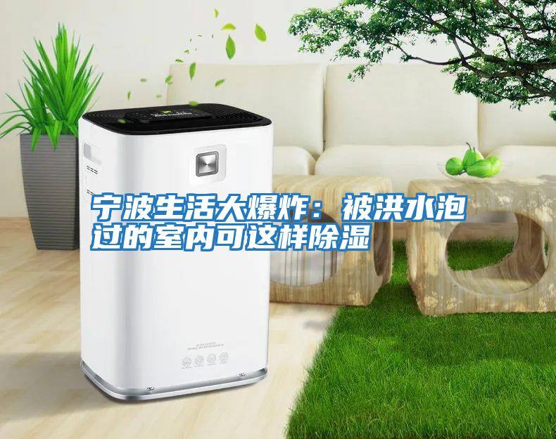 寧波生活大爆炸：被洪水泡過(guò)的室內可這樣除濕