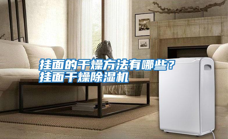 掛面的干燥方法有哪些？ 掛面干燥除濕機