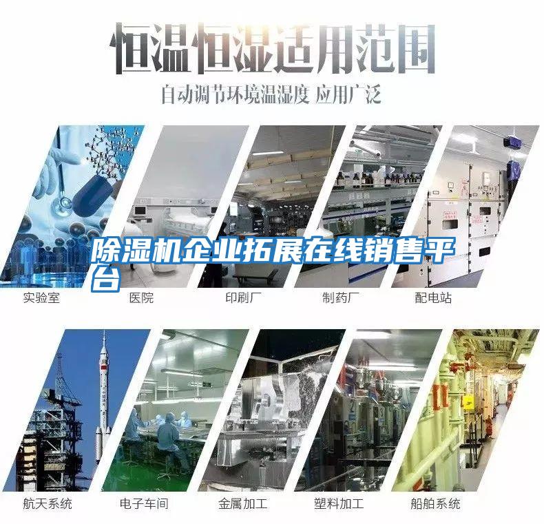 除濕機企業(yè)拓展在線(xiàn)銷(xiāo)售平臺