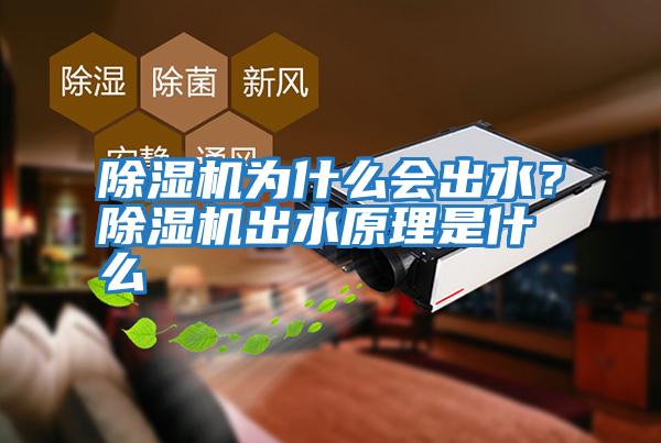 除濕機為什么會(huì )出水？除濕機出水原理是什么