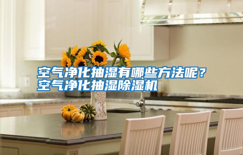 空氣凈化抽濕有哪些方法呢？空氣凈化抽濕除濕機