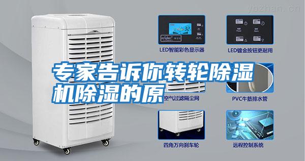 專(zhuān)家告訴你轉輪除濕機除濕的原