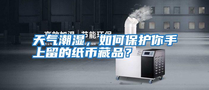 天氣潮濕，如何保護你手上留的紙幣藏品？