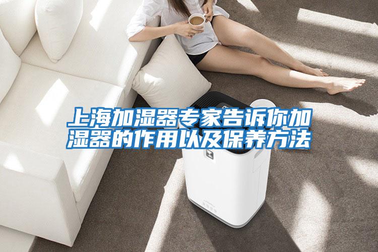 上海加濕器專(zhuān)家告訴你加濕器的作用以及保養方法