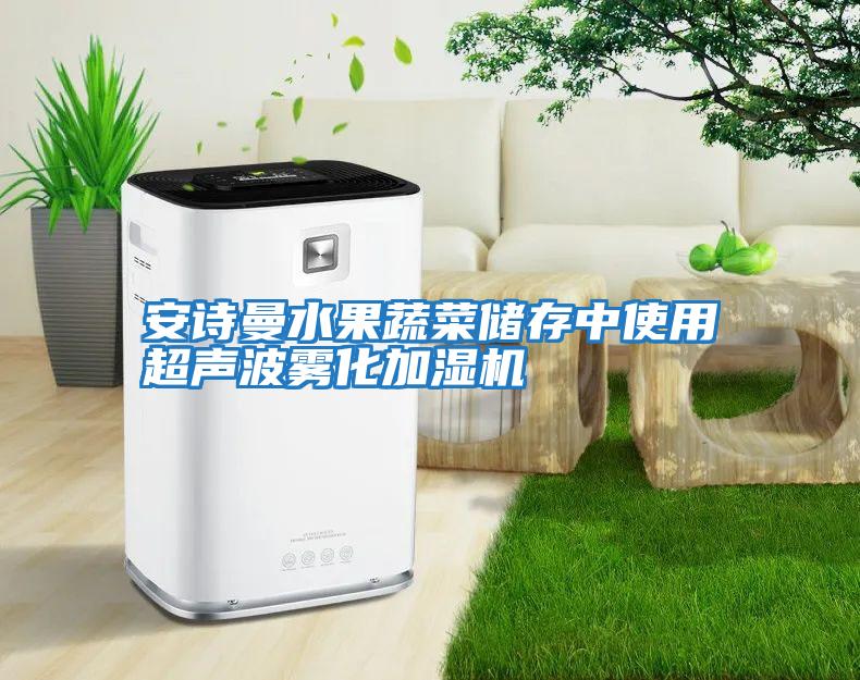 安詩(shī)曼水果蔬菜儲存中使用超聲波霧化加濕機