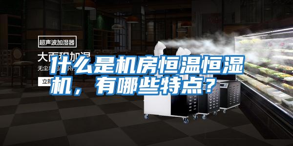 什么是機房恒溫恒濕機，有哪些特點(diǎn)？