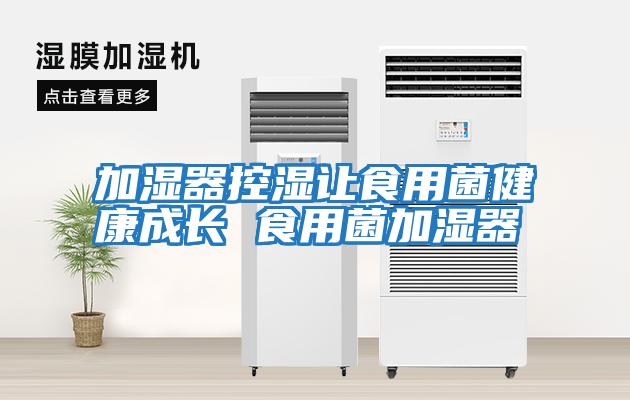 加濕器控濕讓食用菌健康成長(cháng) 食用菌加濕器