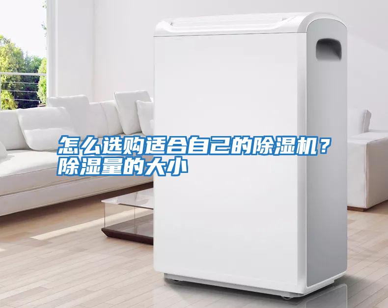 怎么選購適合自己的除濕機？除濕量的大小