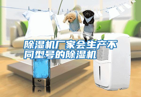 除濕機廠(chǎng)家會(huì )生產(chǎn)不同型號的除濕機