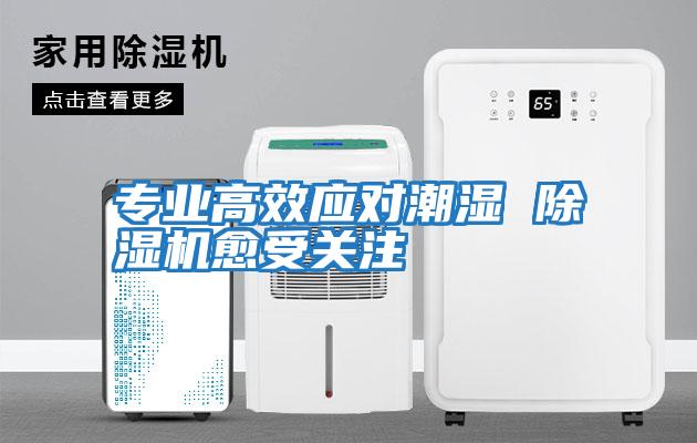 專(zhuān)業(yè)高效應對潮濕 除濕機愈受關(guān)注