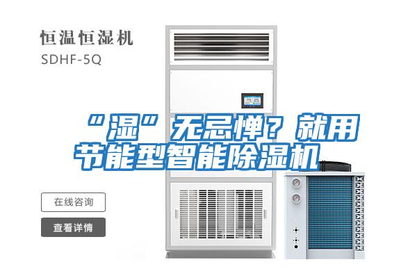 “濕”無(wú)忌憚？就用節能型智能除濕機