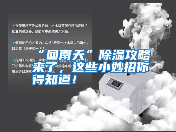 “回南天”除濕攻略來(lái)了，這些小妙招你得知道！