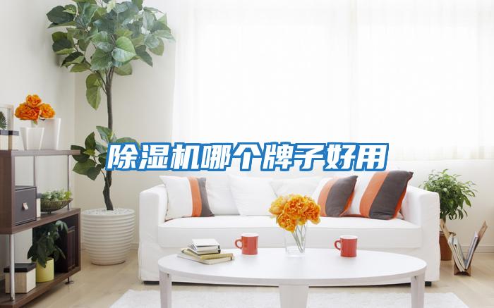 除濕機哪個(gè)牌子好用