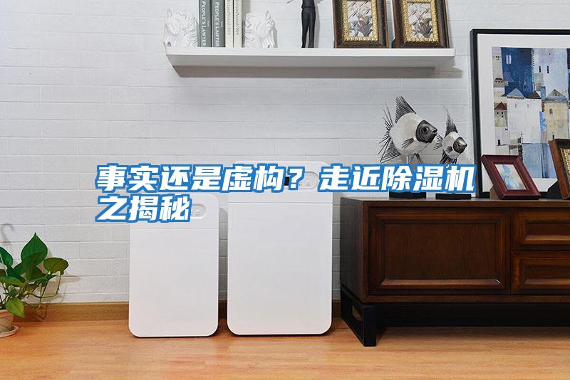 事實(shí)還是虛構？走近除濕機之揭秘
