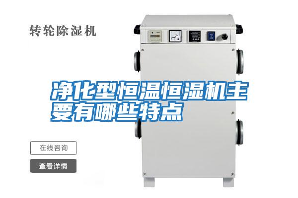 凈化型恒溫恒濕機主要有哪些特點(diǎn)
