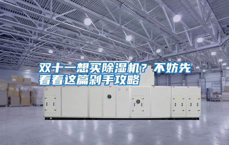 雙十一想買(mǎi)除濕機？不妨先看看這篇剁手攻略
