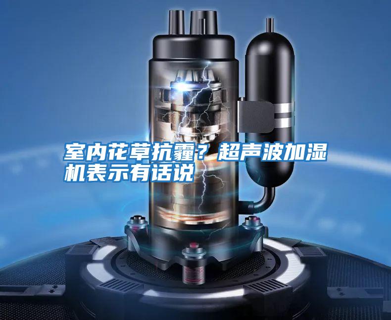 室內花草抗霾？超聲波加濕機表示有話(huà)說(shuō)