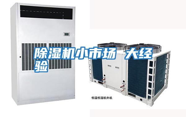 除濕機小市場(chǎng) 大經(jīng)驗