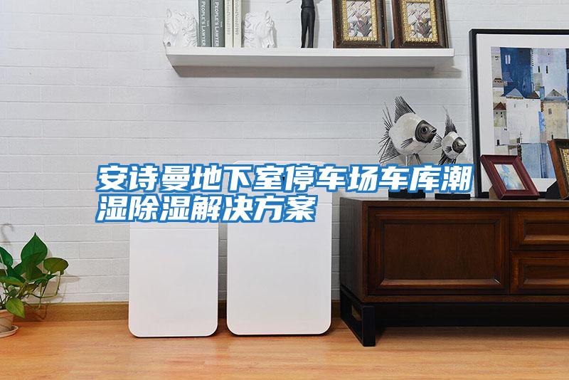 安詩(shī)曼地下室停車(chē)場(chǎng)車(chē)庫潮濕除濕解決方案
