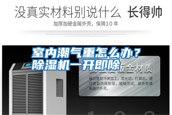 室內潮氣重怎么辦？除濕機一開(kāi)即除