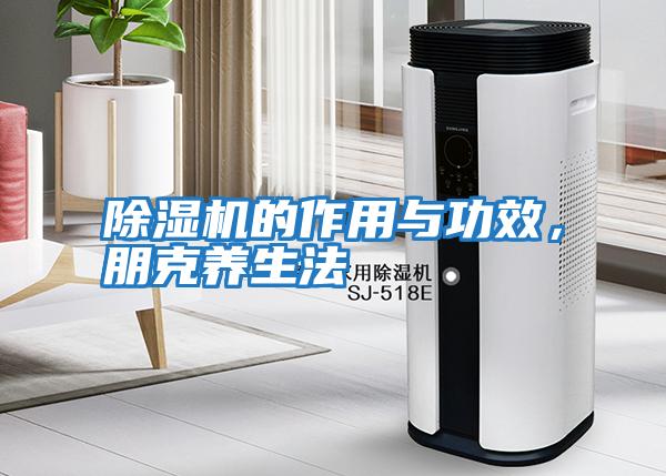 除濕機的作用與功效，朋克養生法