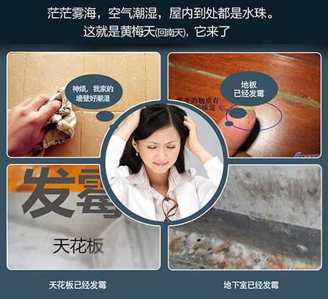 工業(yè)除濕機廠(chǎng)家