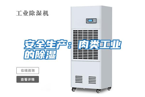 安全生產(chǎn)：肉類(lèi)工業(yè)的除濕