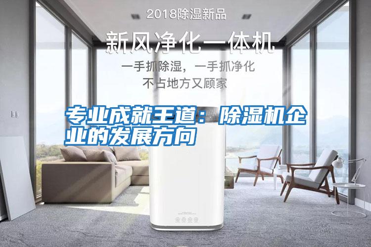 專(zhuān)業(yè)成就王道：除濕機企業(yè)的發(fā)展方向