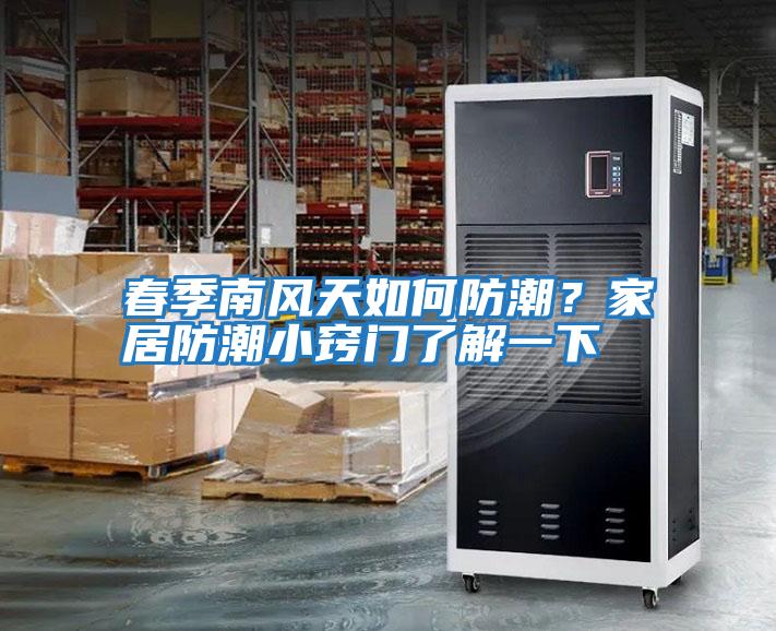春季南風(fēng)天如何防潮？家居防潮小竅門(mén)了解一下