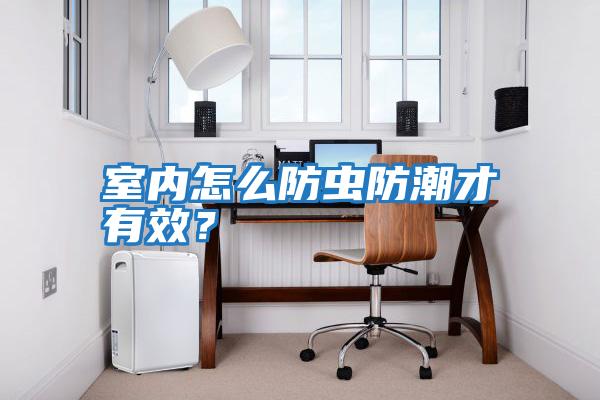 室內怎么防蟲(chóng)防潮才有效？